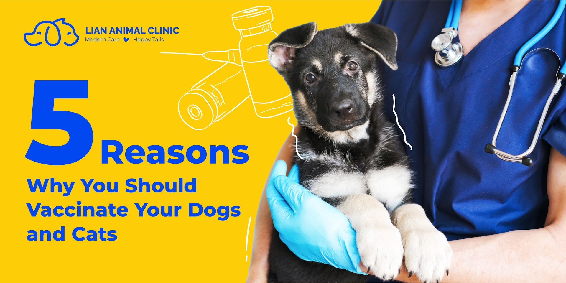 5 Reasons Why You Should Vaccinate Your Dogs and Cats