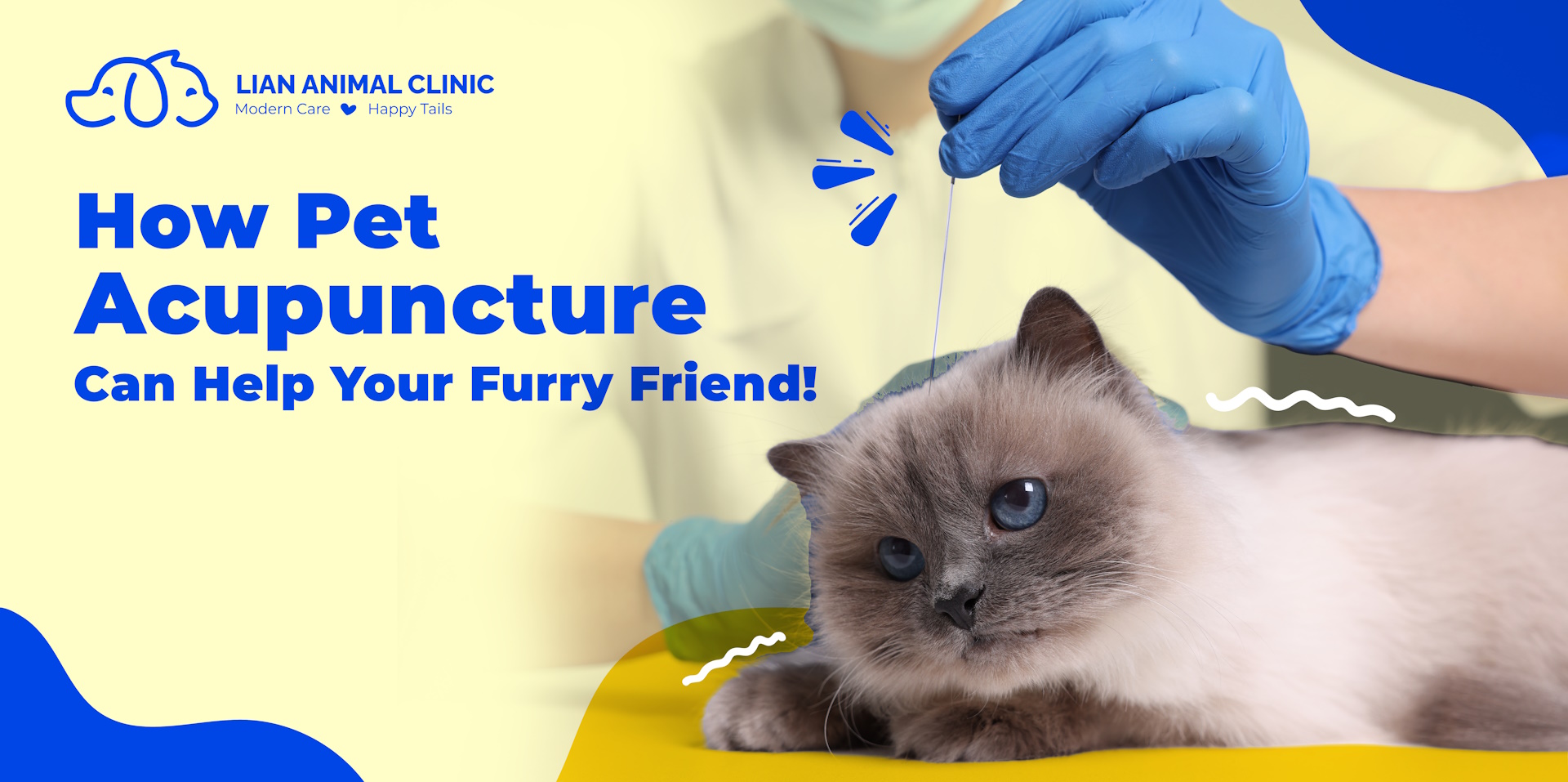 How Pet Acupuncture Can Help Your Furry Friend!